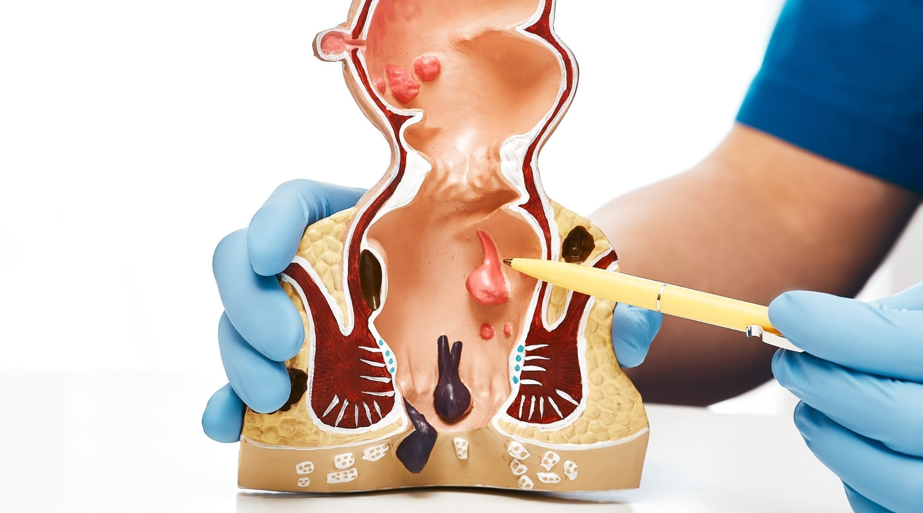 Rus porno aktrisalar royxati