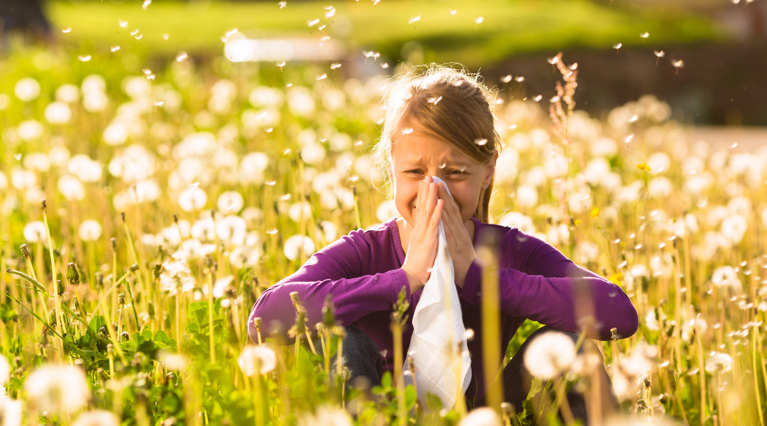 5 nasvetov, kako blažiti alergijo na cvetni prah-Najzdravnik